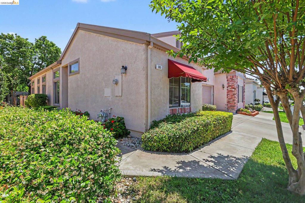 300 Winesap Dr, Brentwood (CC), CA 94513