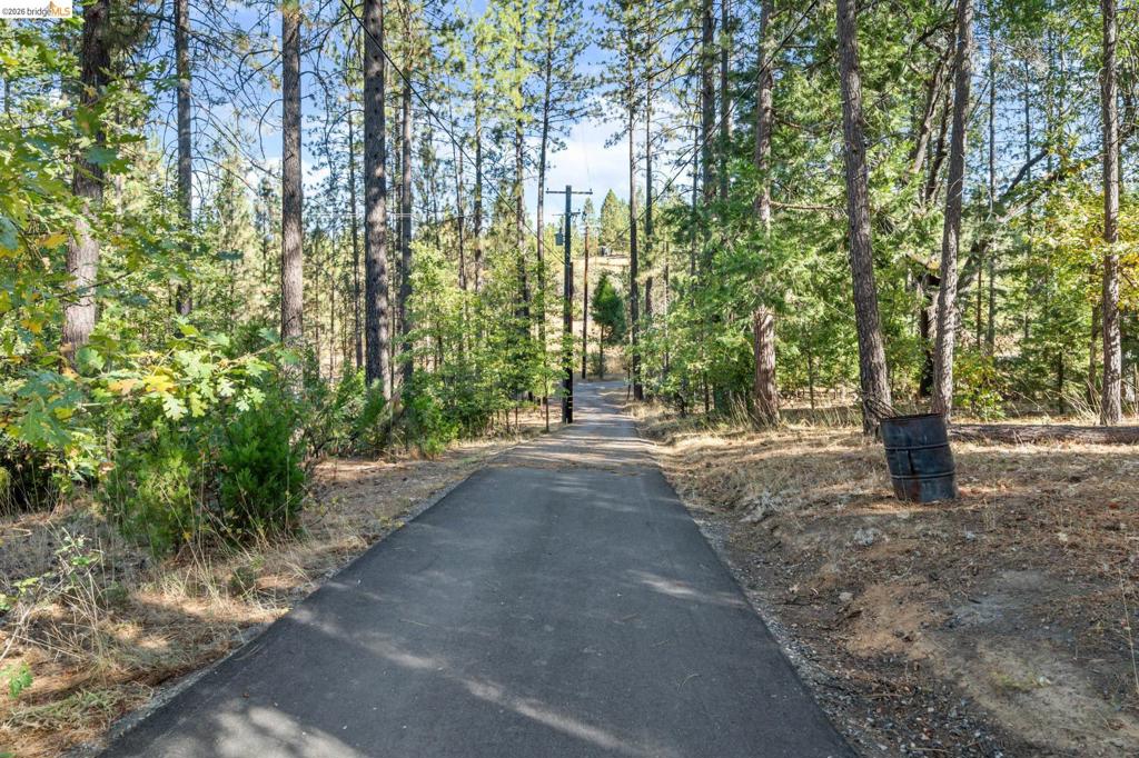 23625 Rock Hammer Lane, Groveland, CA 95321