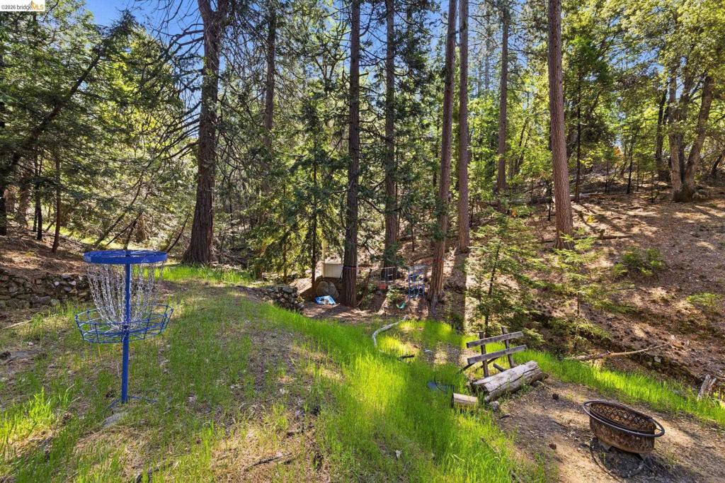 23420 Tanager Dr, Twain Harte, CA 95383