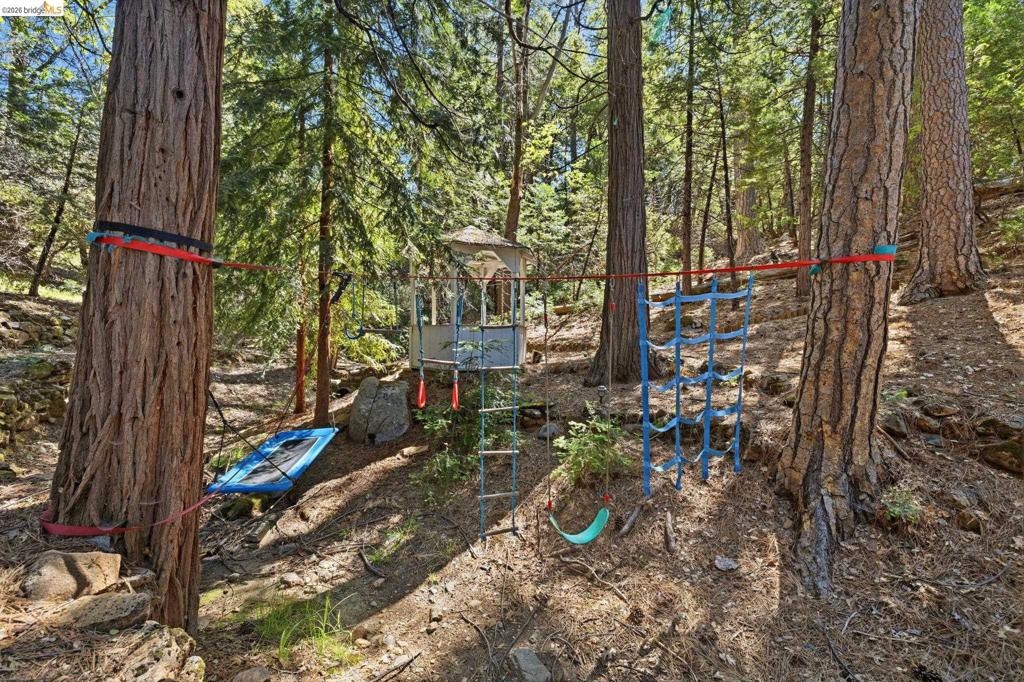 23420 Tanager Dr, Twain Harte, CA 95383