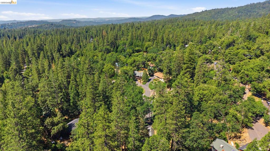 23420 Tanager Dr, Twain Harte, CA 95383