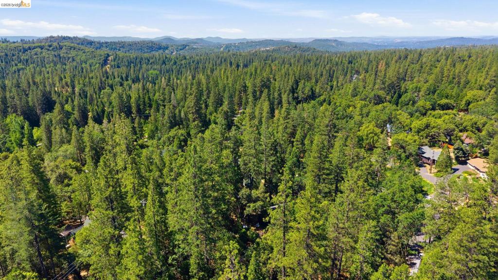 23420 Tanager Dr, Twain Harte, CA 95383