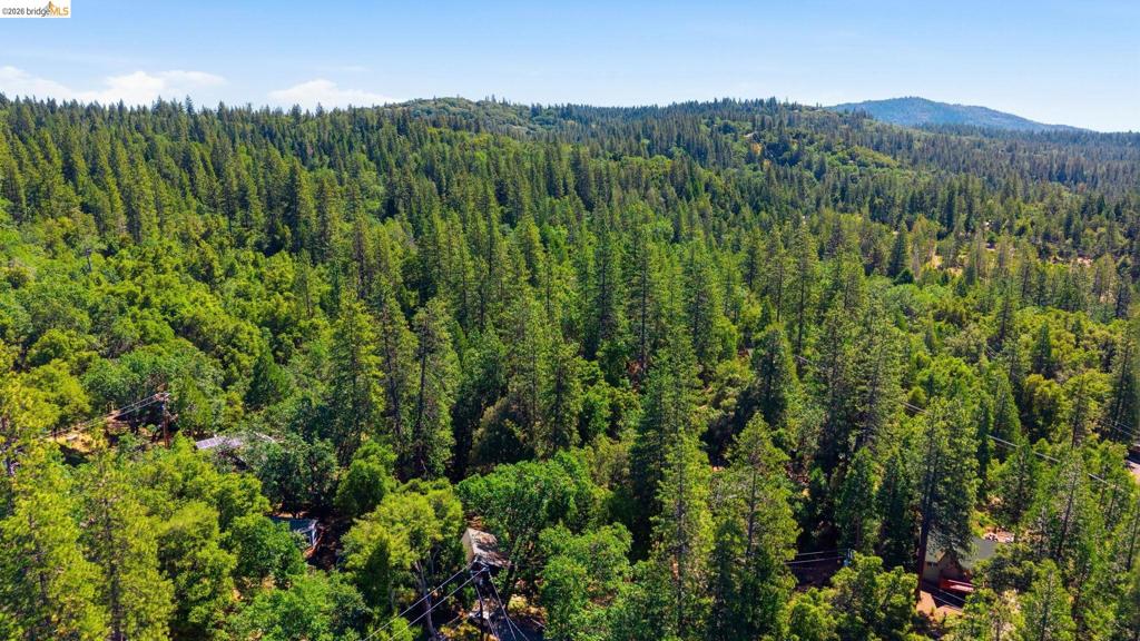 23420 Tanager Dr, Twain Harte, CA 95383