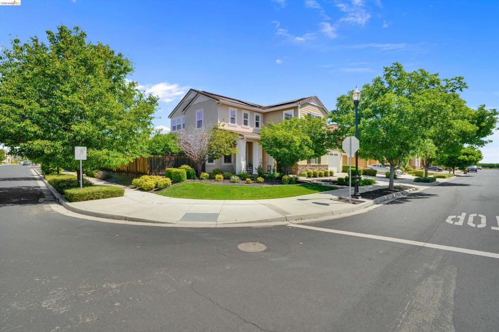 401 Springfield Ct, Brentwood (CC), CA 94513