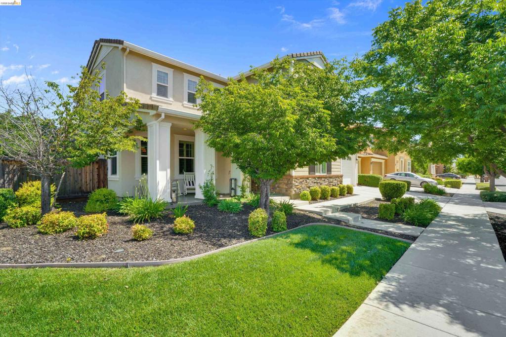 401 Springfield Ct, Brentwood (CC), CA 94513
