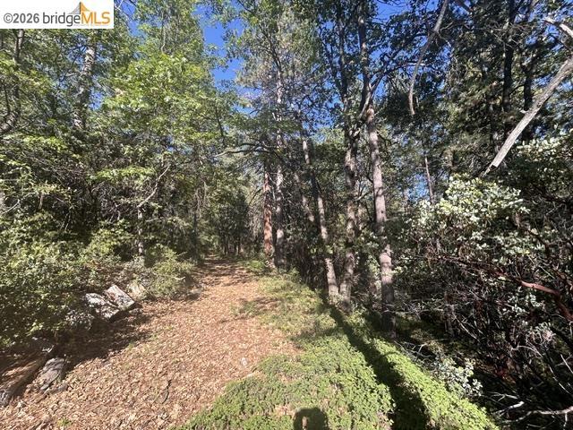 17545 Mount Elizabeth Road, Sonora, CA 95370-9568