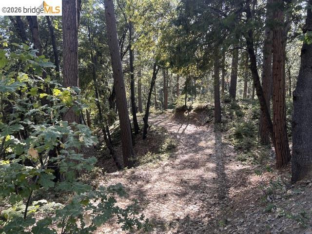 17545 Mount Elizabeth Road, Sonora, CA 95370-9568