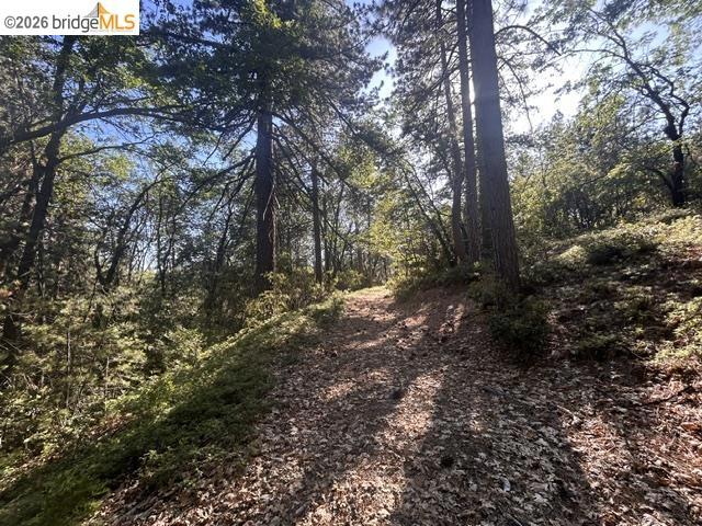 17545 Mount Elizabeth Road, Sonora, CA 95370-9568