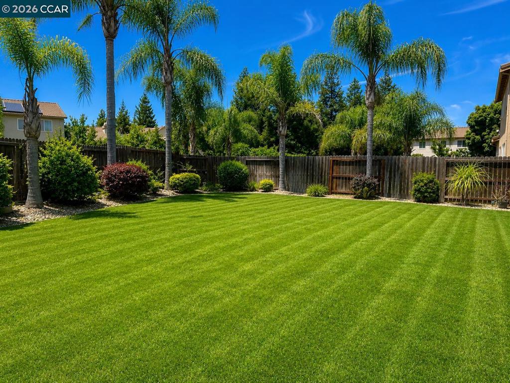 1567 Purple Martin Ln, Manteca, CA 95337