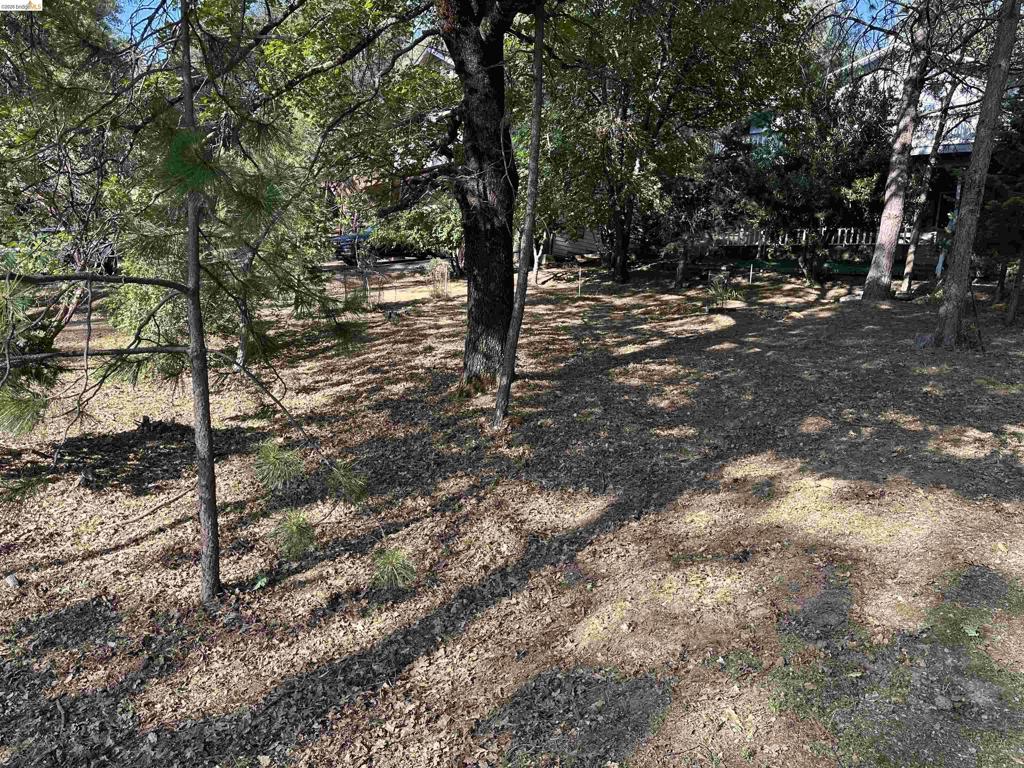12948 Mueller Dr, Groveland, CA 95321