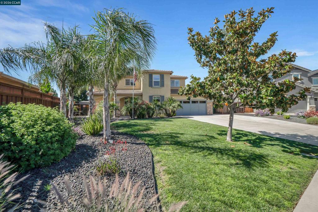 2057 Saffron Ct, Brentwood (CC), CA 94513