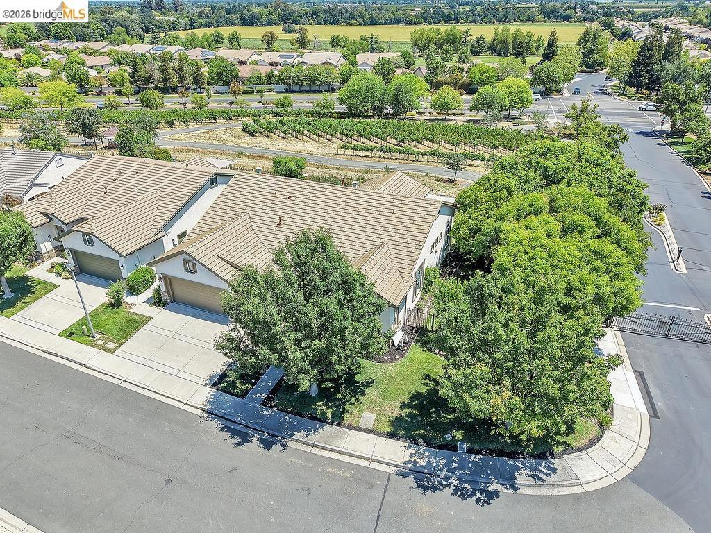 1419 Bismarck Ln, Brentwood (CC), CA 94513