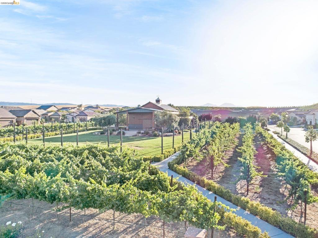 1696 Provence Ln, Brentwood (CC), CA 94513