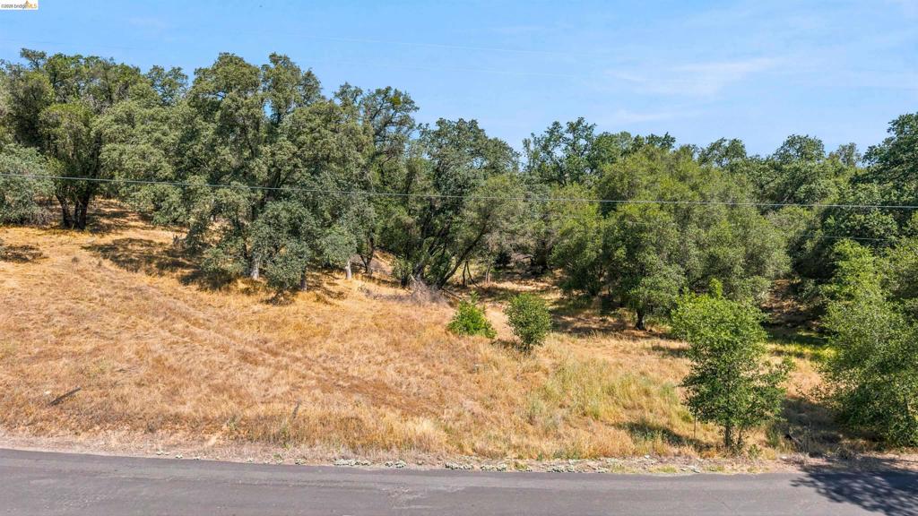 10151 Bell Mooney Rd, Jamestown, CA 95327