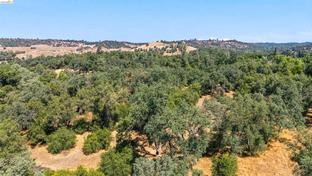 10151 Bell Mooney Rd, Jamestown, CA 95327