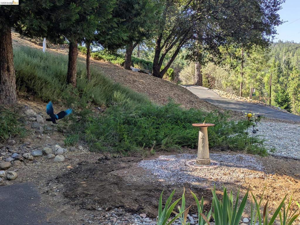 20812 Point View Dr., Groveland, CA 95321