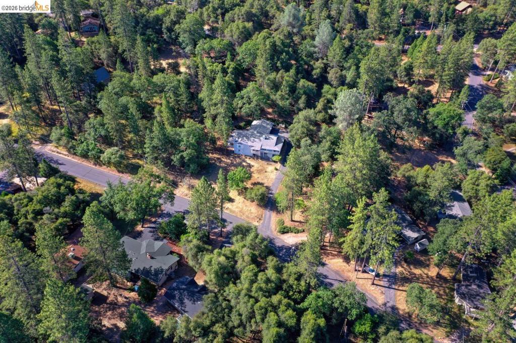 13163 Jackson Mill Dr, Groveland, CA 95321-9345