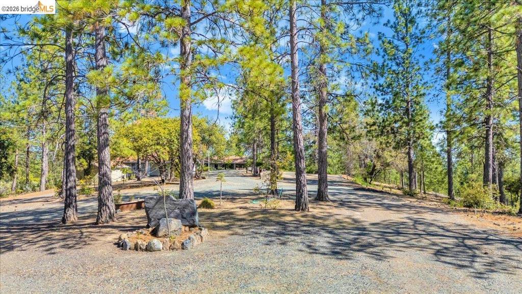 10421 Dexter Ln, Coulterville, CA 95311