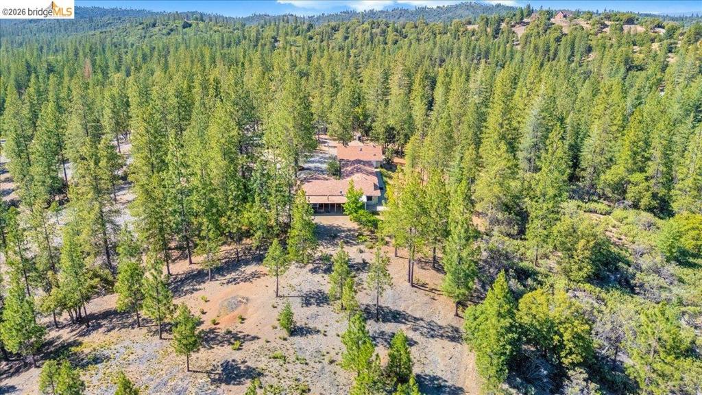 10421 Dexter Ln, Coulterville, CA 95311