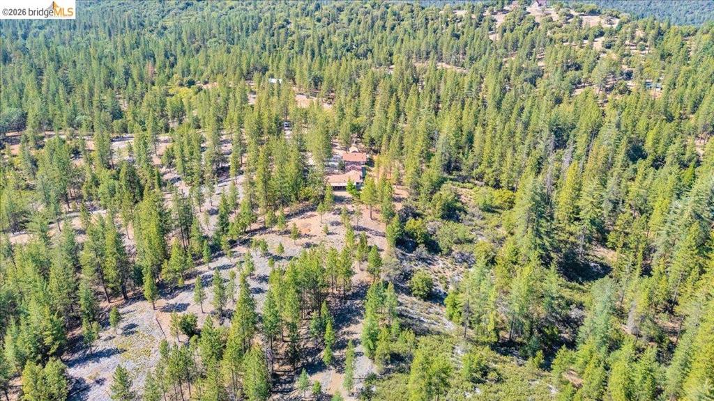 10421 Dexter Ln, Coulterville, CA 95311