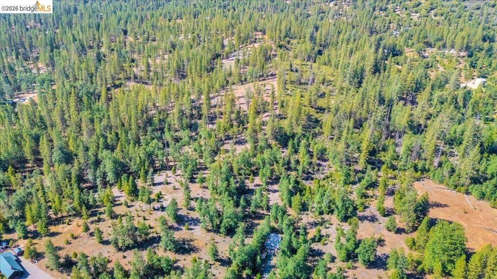 10421 Dexter Ln, Coulterville, CA 95311