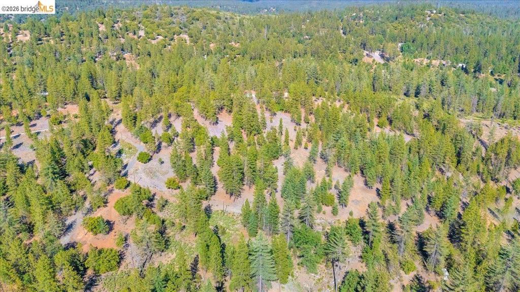 10421 Dexter Ln, Coulterville, CA 95311