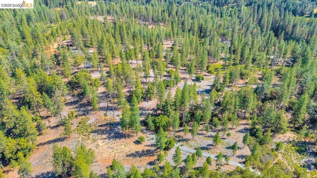 10421 Dexter Ln, Coulterville, CA 95311