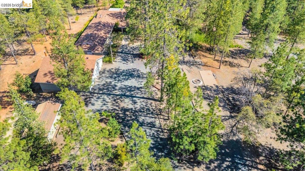 10421 Dexter Ln, Coulterville, CA 95311