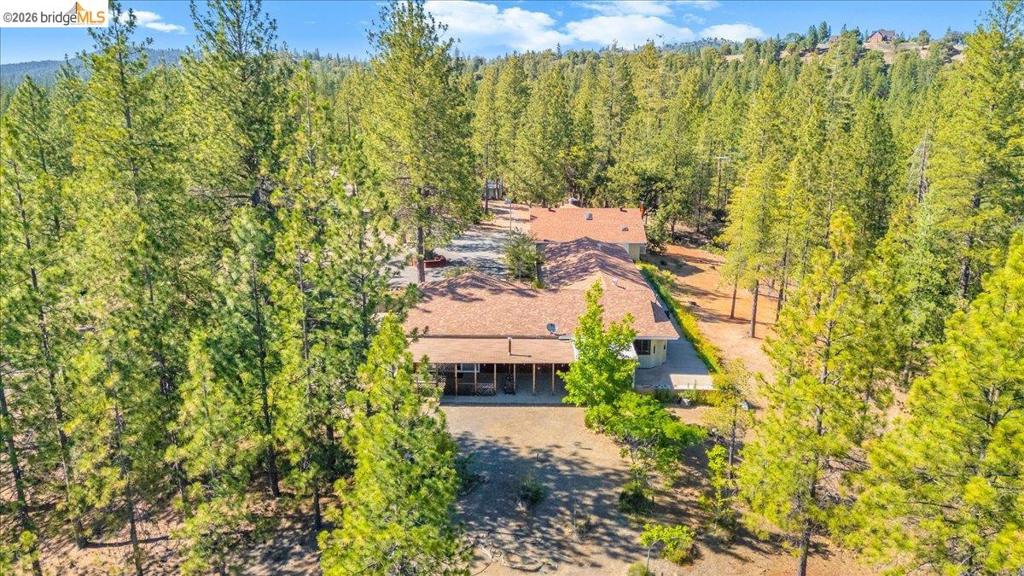 10421 Dexter Ln, Coulterville, CA 95311