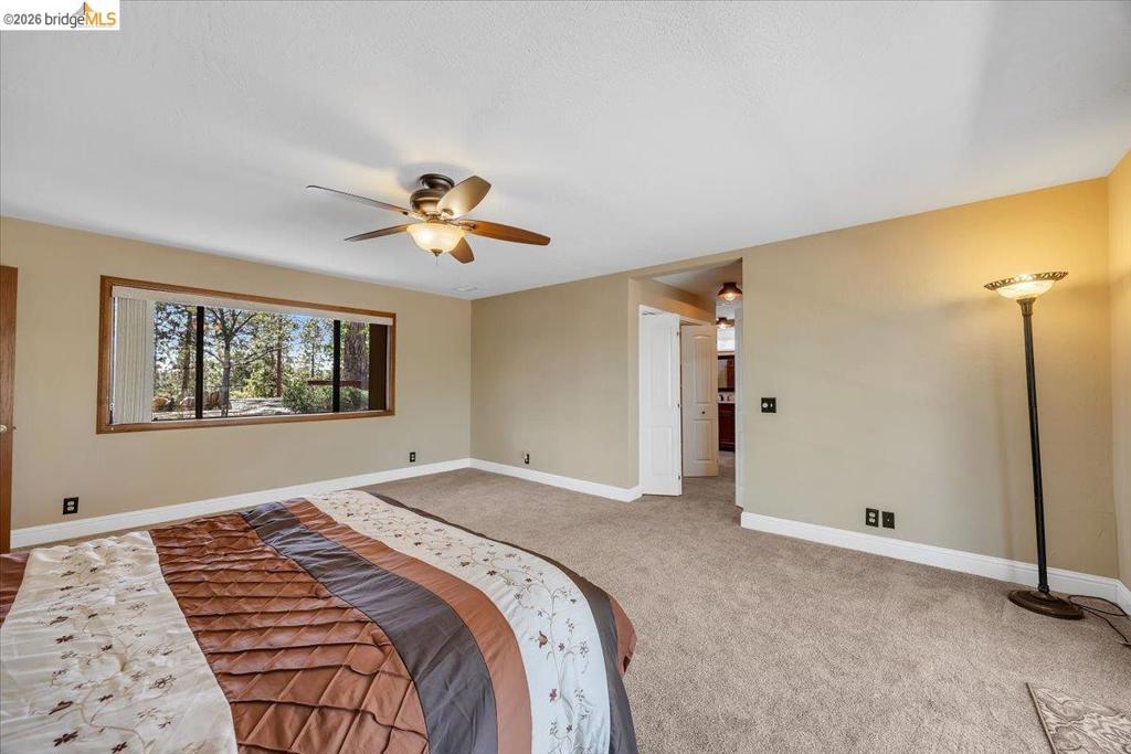 10421 Dexter Ln, Coulterville, CA 95311