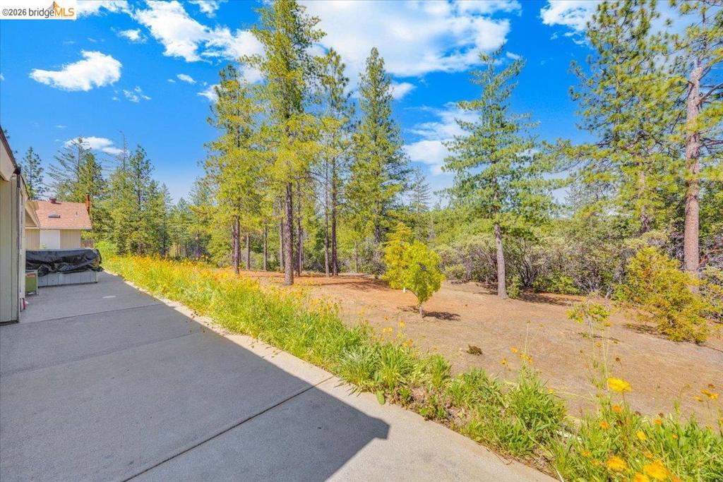 10421 Dexter Ln, Coulterville, CA 95311