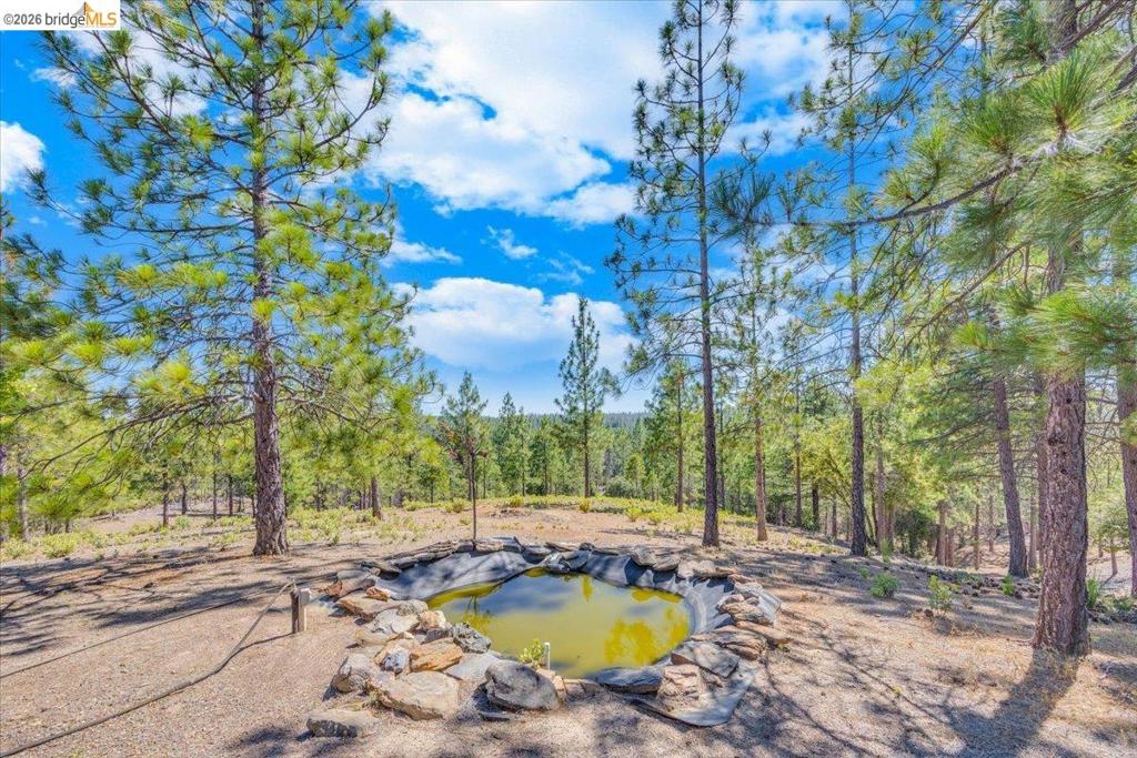 10421 Dexter Ln, Coulterville, CA 95311