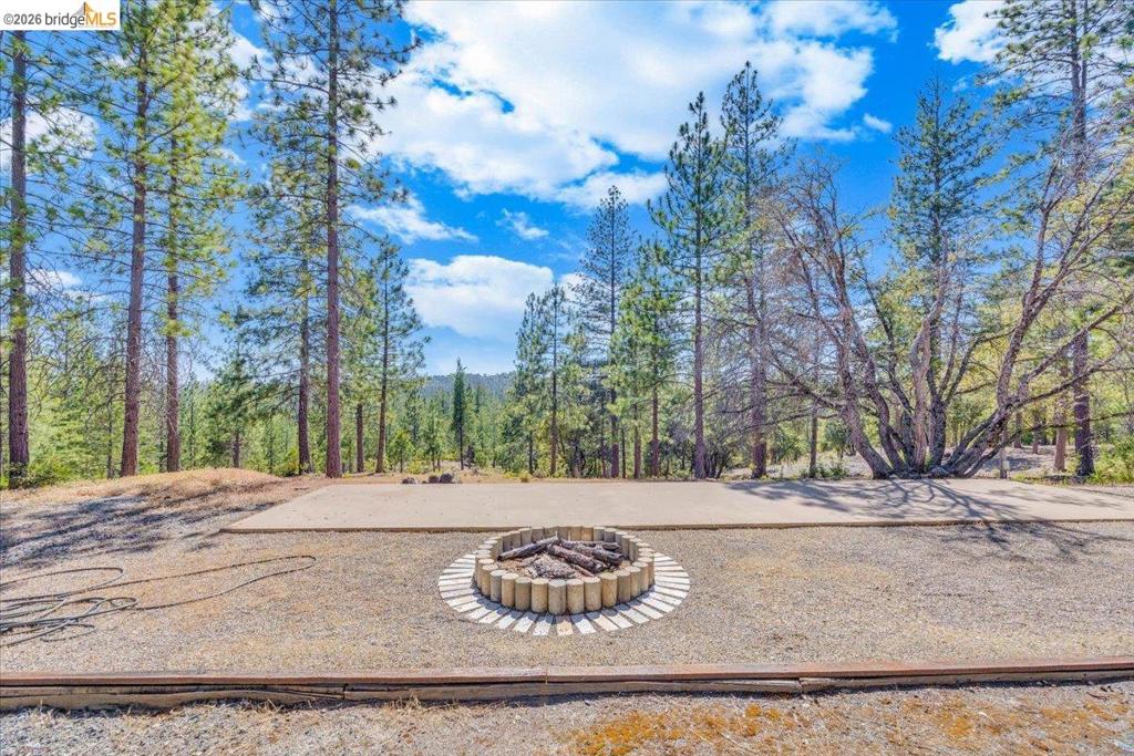 10421 Dexter Ln, Coulterville, CA 95311