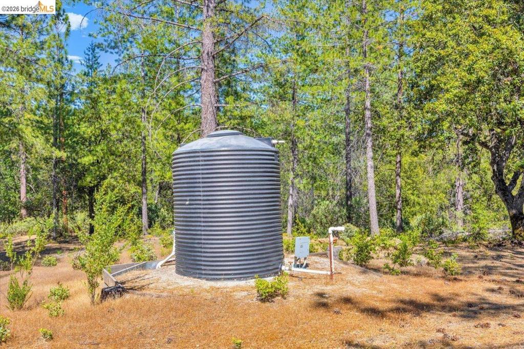 10421 Dexter Ln, Coulterville, CA 95311
