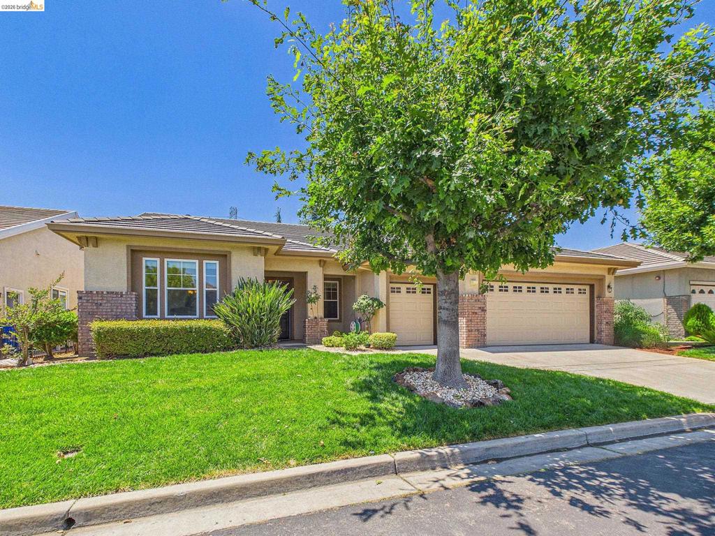 1035 Bismarck Ter, Brentwood (CC), CA 94513