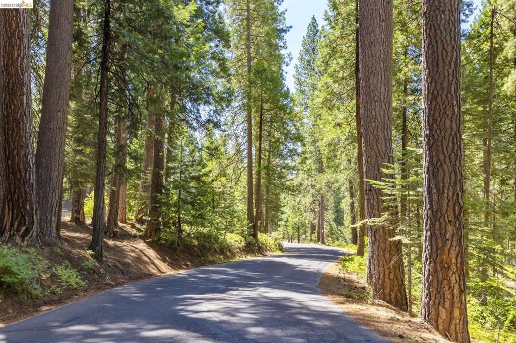 25209 E Jordan Way, Long Barn, CA 95335