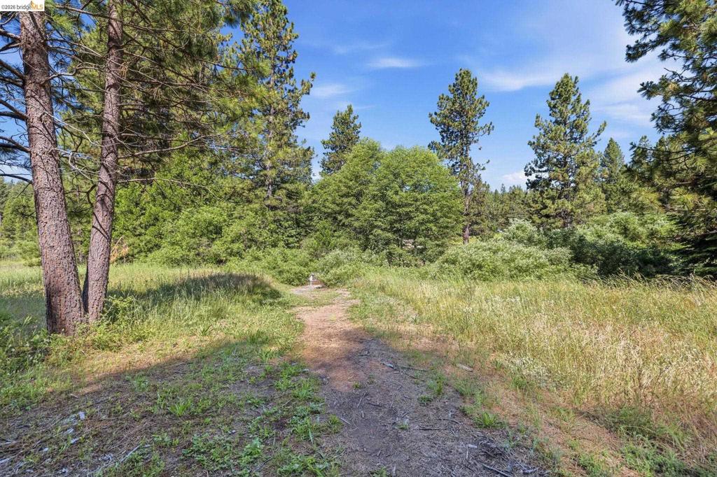 25209 E Jordan Way, Long Barn, CA 95335