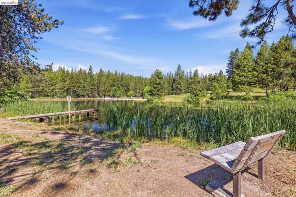 25209 E Jordan Way, Long Barn, CA 95335