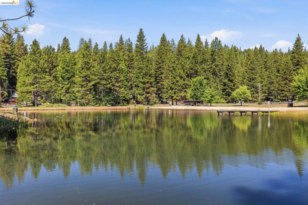 25209 E Jordan Way, Long Barn, CA 95335