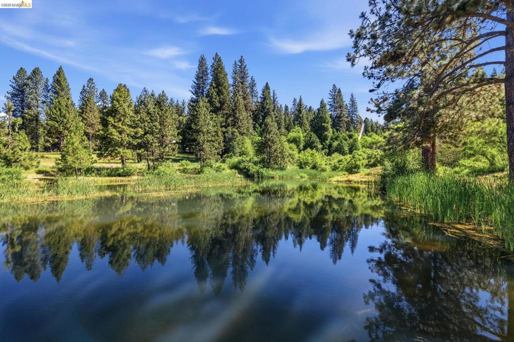 25209 E Jordan Way, Long Barn, CA 95335