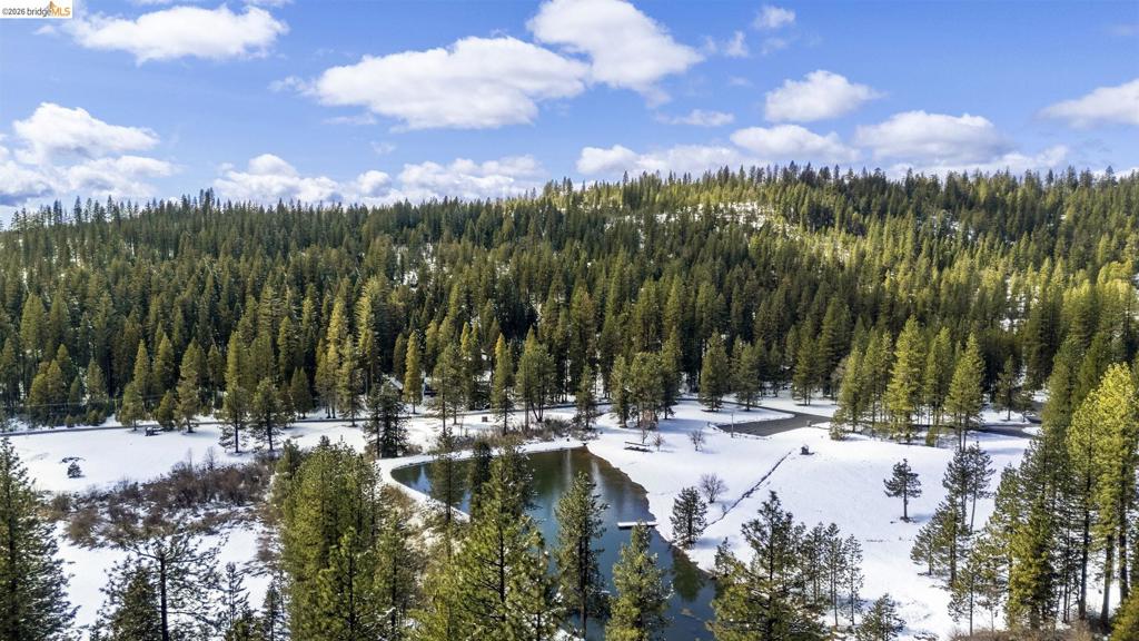 25209 E Jordan Way, Long Barn, CA 95335