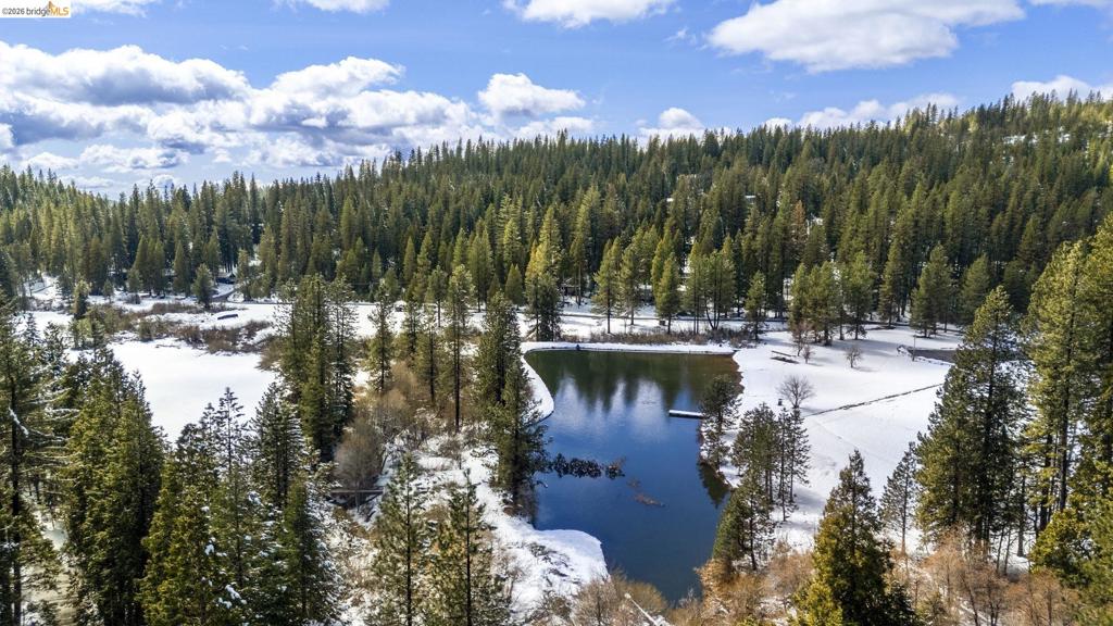 25209 E Jordan Way, Long Barn, CA 95335