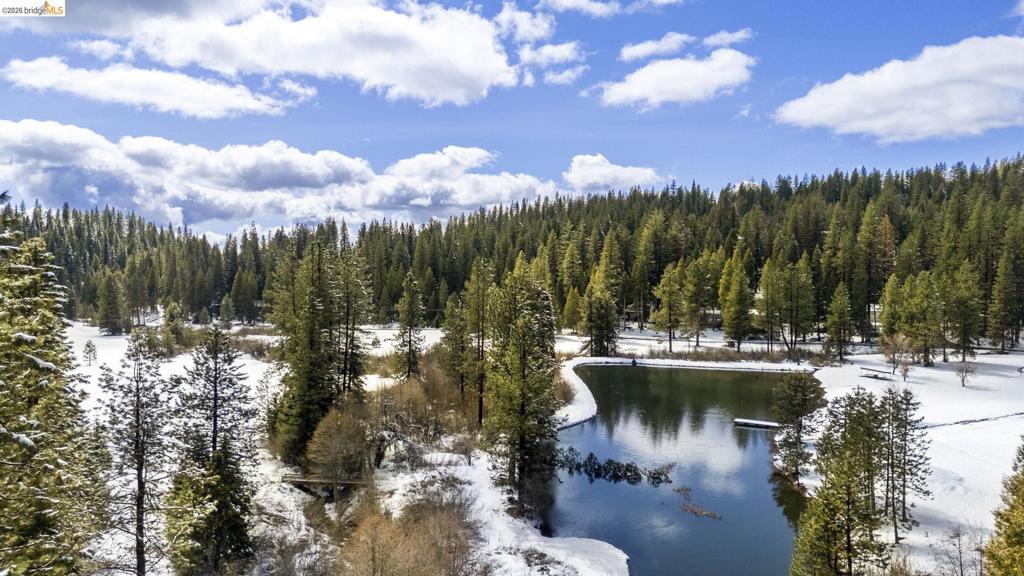 25209 E Jordan Way, Long Barn, CA 95335