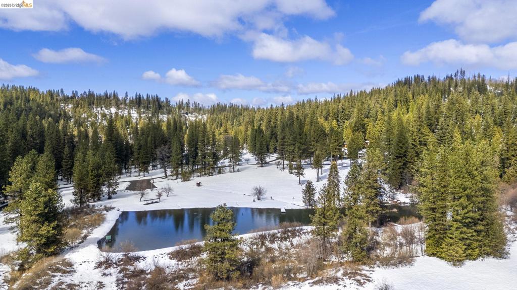 25209 E Jordan Way, Long Barn, CA 95335
