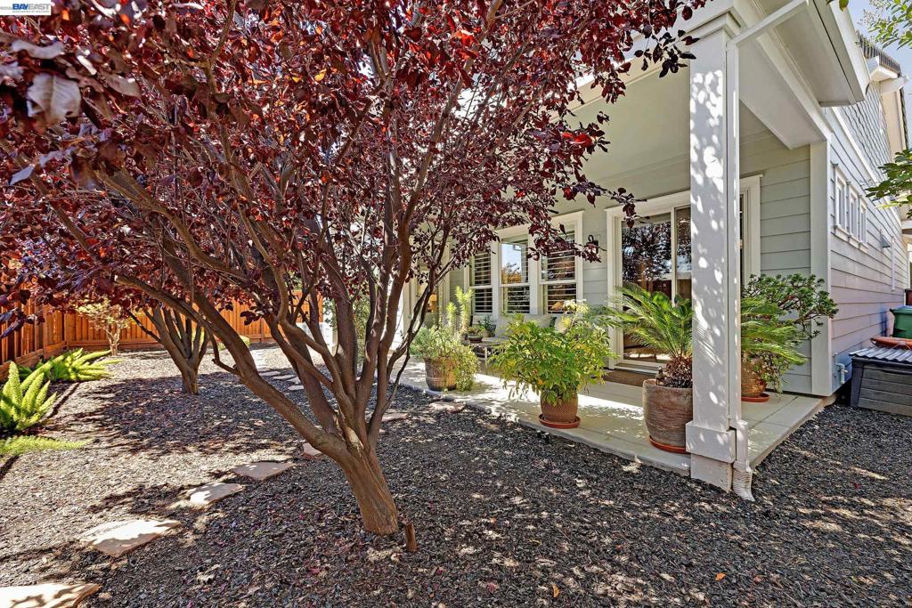 1810 Moscato Pl, Brentwood (CC), CA 94513