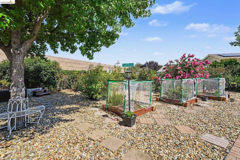 311 Upton Pyne Dr, Brentwood (CC), CA 94513