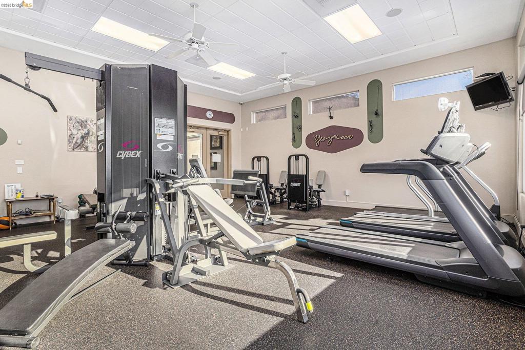 311 Upton Pyne Dr, Brentwood (CC), CA 94513