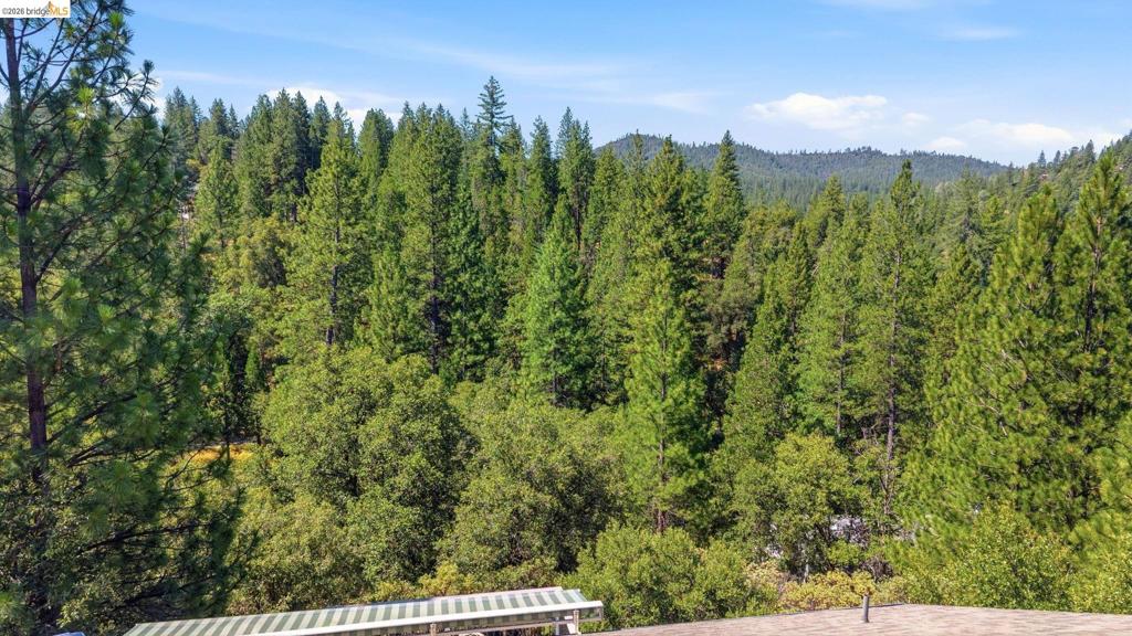 12312 Tower Peak Ct., Groveland, CA 95321