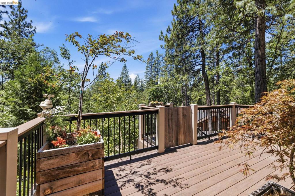 18580 Wildwood Dr, Twain Harte, CA 95383