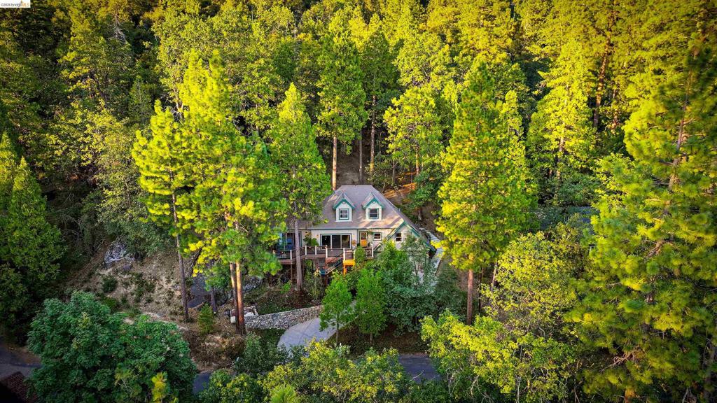 18580 Wildwood Dr, Twain Harte, CA 95383